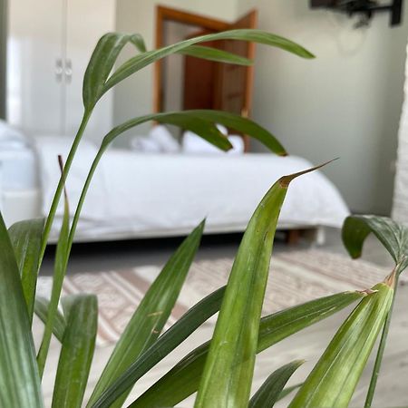 Agroni Rooms Тирана Экстерьер фото