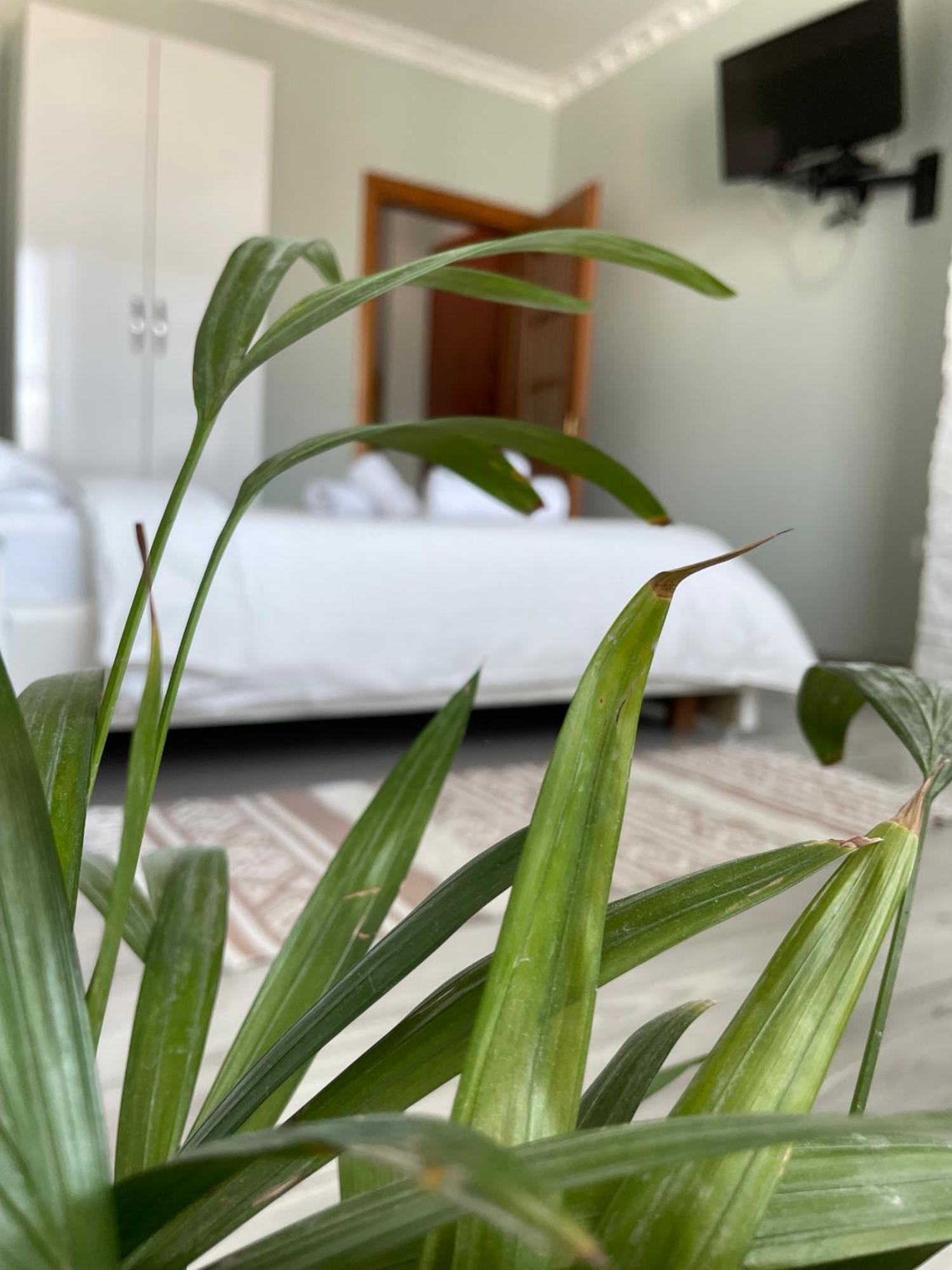 Agroni Rooms Тирана Экстерьер фото